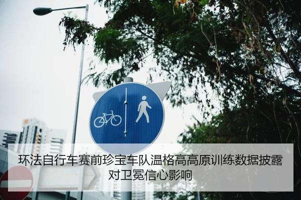 环法自行车赛前珍宝车队温格高高原训练数据披露对卫冕信心影响